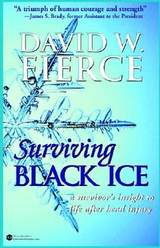 portada surviving black ice