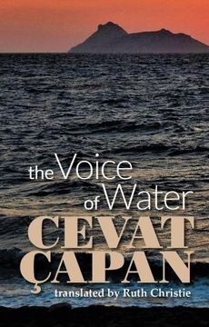 portada The Voice of Water