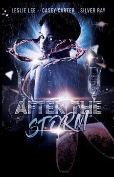 portada After the Storm (in English)