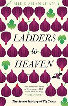 portada Ladders To Heaven 