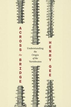 portada Across the Bridge: Understanding the Origin of the Vertebrates (in English)