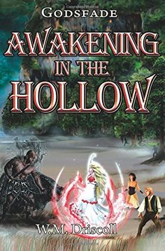 portada Awakening in the Hollow: Volume 2 (Godsfade)