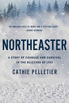 portada Northeaster: A Story of Courage and Survival in the Blizzard of 1952 (en Inglés)
