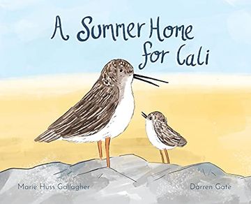 portada A Summer Home for Cali (in English)
