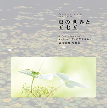 portada Japanese Insects and Haiku (in English)