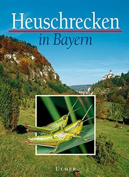 portada Heuschrecken in Bayern: Mit Beiträgen Zahlreicher Heuschreckenkundler (en Alemán)