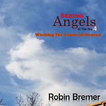 portada Seeing Angels in the Sky 4: Working the Courts of Heaven (en Inglés)