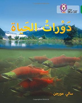portada Life Cycles: Level 15 (Collins Big Cat Arabic Reading Programme)