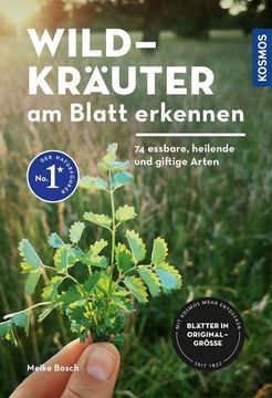 portada Wildkräuter am Blatt Erkennen (en Alemán)