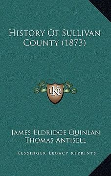portada history of sullivan county (1873) (in English)
