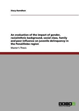 portada an  evaluation of the impact of gender, racial/ethnic background, social class, family and peer influence on juvenile delinquency in the penal/debe re