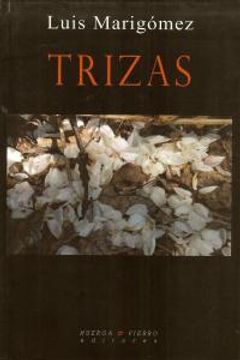 portada Trizas (Narrativa) (in Spanish)