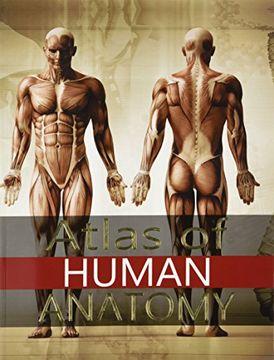 portada Atlas of Human Anatomy [Jan 01, 2015] Vigue, Jordi 