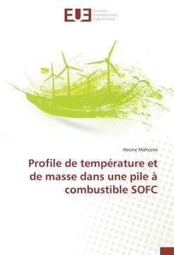 portada Profile de température et de masse dans une pile à combustible SOFC (OMN.UNIV.EUROP.)