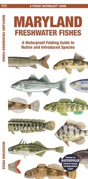 portada Maryland Freshwater Fishes: A Waterproof Folding Guide to Native and Introduced Species (en Inglés)