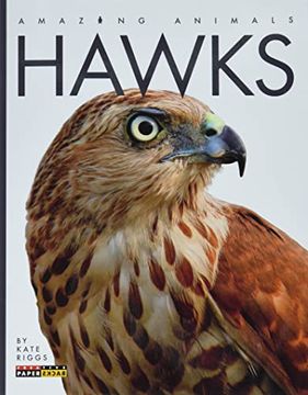 portada Hawks (en Inglés)
