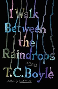portada I Walk Between the Raindrops: Stories (in English)