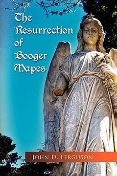 portada the resurrection of booger mapes (in English)