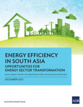portada Energy Efficiency in South Asia (en Inglés)