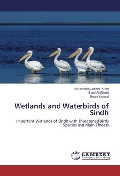 portada Wetlands and Waterbirds of Sindh: Important Wetlands of Sindh with Threatened Birds Species and Main Threats