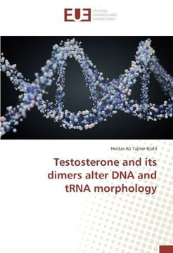 portada Testosterone and its dimers alter DNA and tRNA morphology