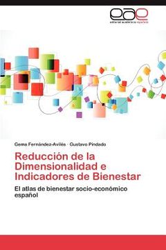 portada reducci n de la dimensionalidad e indicadores de bienestar