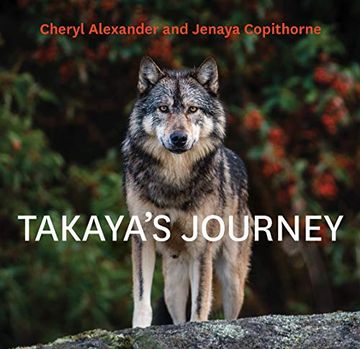 portada Takaya'S Journey