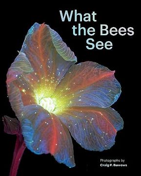 portada What the Bees See: A Honeybee's Eye View of the World (en Inglés)