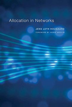 portada Allocation in Networks (The mit Press) (en Inglés)