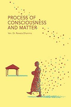 portada Process of Consciousness and Matter (en Inglés)