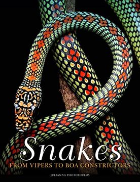 portada Snakes: From Vipers to boa Constrictors (in English)