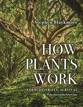 portada How Plants Work: Form, Diversity, Survival (en Inglés)