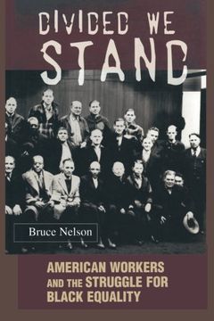 portada Divided we Stand: American Workers and the Struggle for Black Equality (Politics and Society in Twentieth-Century America) (in English)