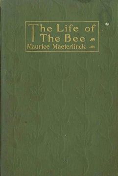 portada Life of the bee (in English)