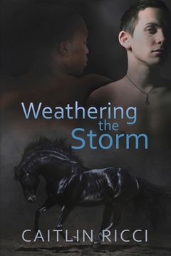 portada Weathering the Storm: Volume 1 (en Inglés)