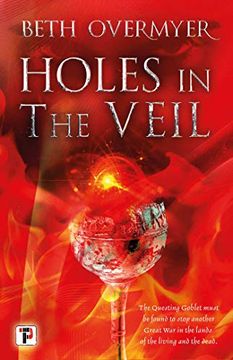 portada Holes in the Veil (in English)