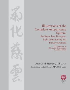 portada Illustrations of the Complete Acupuncture System: The Sinew, Luo, Divergent, Eight Extraordinary, Primary Channels and all Their Branches (in English)