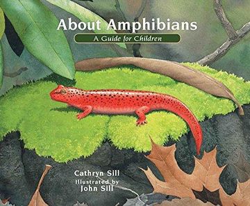 portada About Amphibians: A Guide For Children (en Inglés)