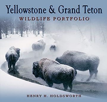 portada Yellowstone & Grand Teton Wildlife Portfolio (Sc) (en Inglés)