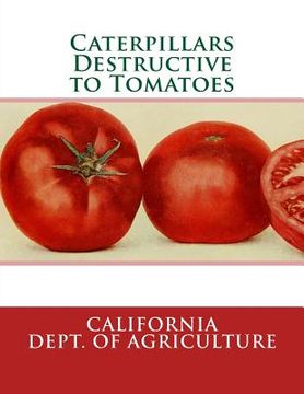 portada Caterpillars Destructive to Tomatoes (in English)