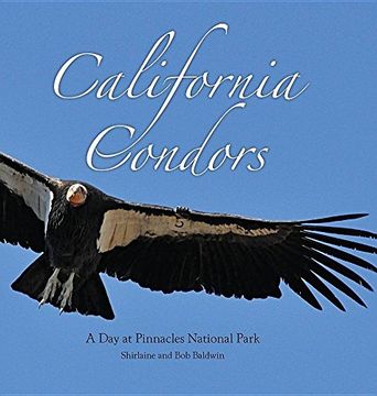 portada California Condors: A Day at Pinnacles National Park (in English)