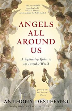 portada Angels all Around us: A Sightseeing Guide to the Invisible World 