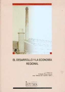 portada desarrollo y la economia regional: el nuevo marco teorico y aplicaciones politica regional