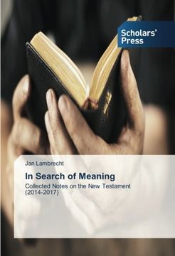 portada In Search of Meaning: Collected Notes on the New Testament (2014-2017)