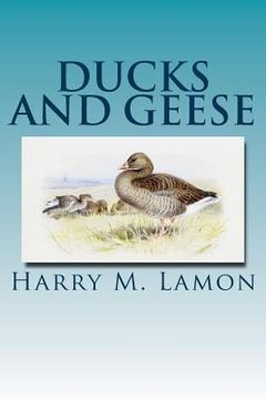 portada Ducks and Geese (in English)