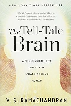 the tell-tale brain (en Inglés)