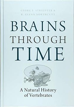 portada Brains Through Time: A Natural History of Vertebrates (en Inglés)