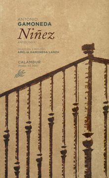 portada Niñez (in Spanish)