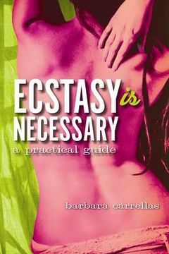 portada ecstasy is necessary: a practical guide