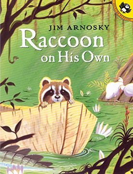 portada Raccoon on his own (Picture Puffin Books) (in English)